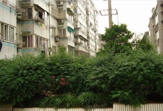 详细阅读:无锡扬名新村(无锡扬名新村属于哪个街道) 无锡扬名新村(无锡扬名新村属于哪个街道)